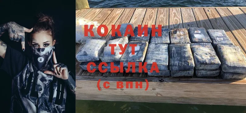 где купить наркотик  Знаменск  COCAIN VHQ 